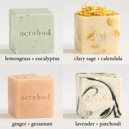 Natural Soap Discovery Set